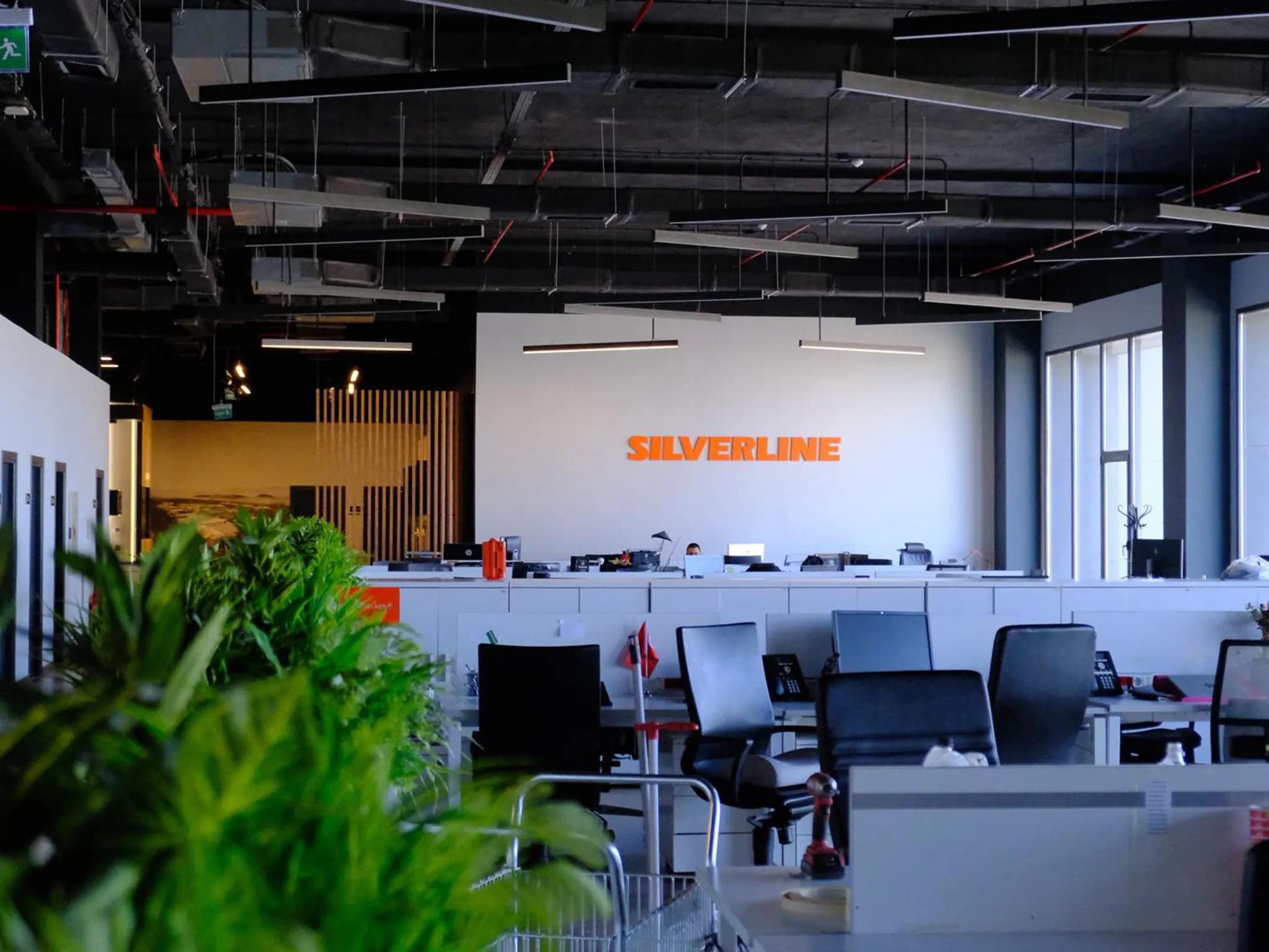 SILVERLINA — SILVERLINE — 10