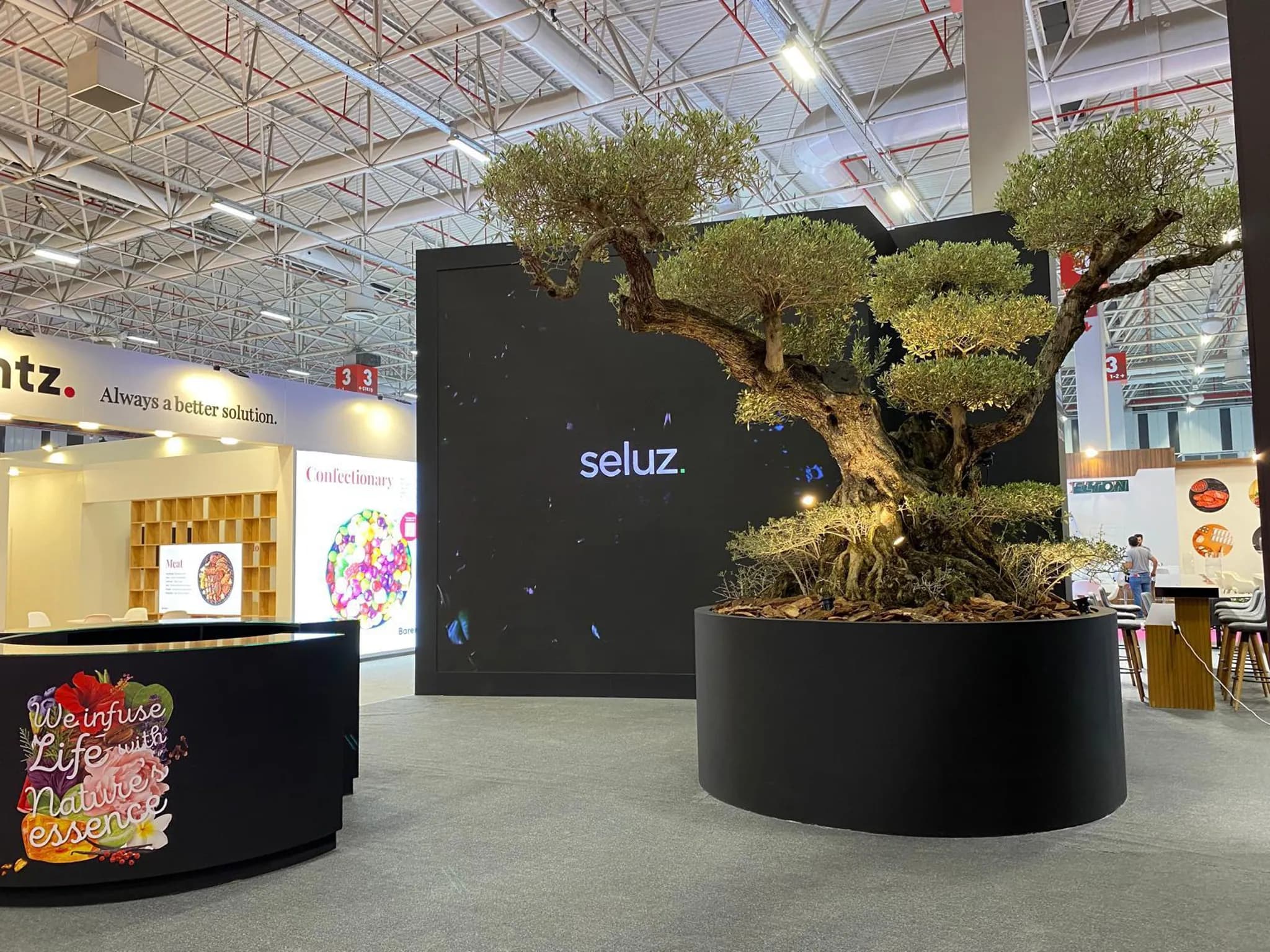 FOOD NUTRITIONAL INGREDIENTS 2025  — SELUZ — 6